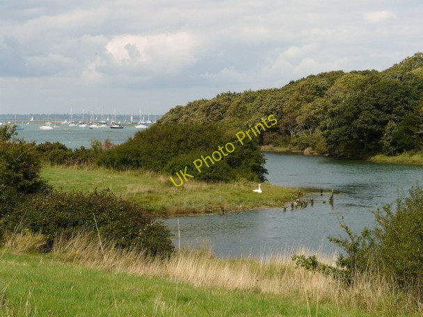 Photo 6"x4" Shalfleet Lake Shalfleet c2008