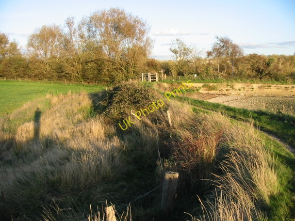 Photo 6"x4" Looking E along footpath on sea wall Apuldram c2008