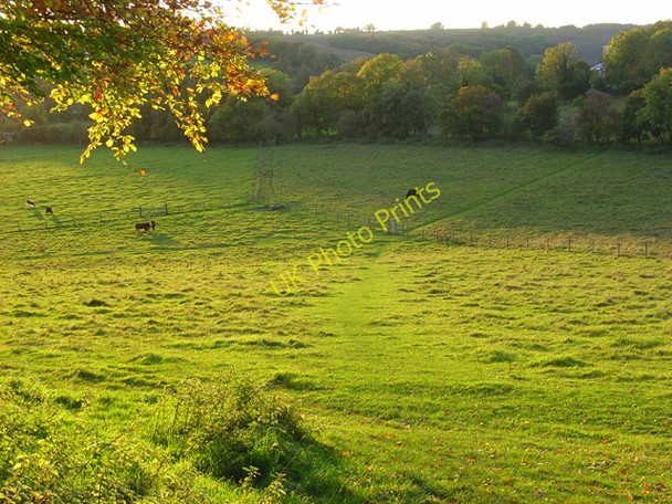 Photo 6"x4" Pasture, Radnage Radnage c2008