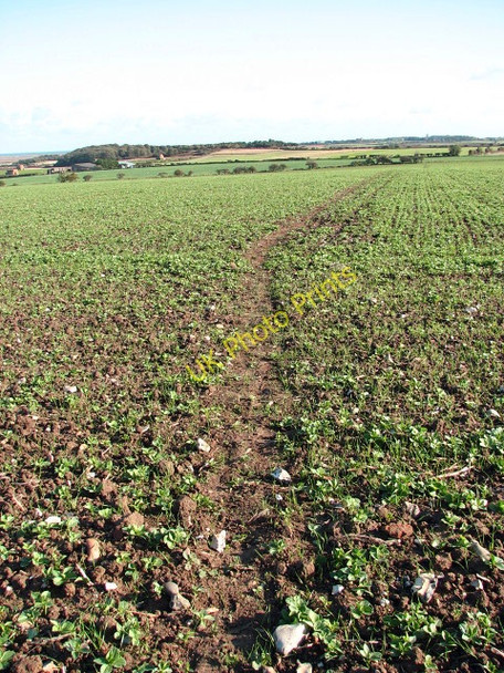 Photo 6"x4" View east along the path Cockthorpe c2008