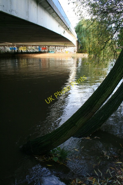 Photo 6"x4" Causey Bridge and two Slender Willows Derby\/SK3535 c2008