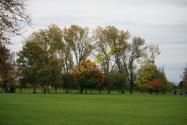 Photo 6"x4" The Avenue of Poplars Long Eaton c2008