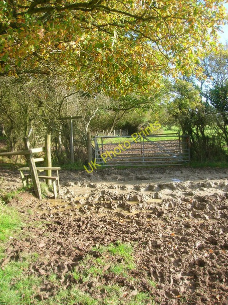 Photo 6"x4" Mud Glorious Mud Nep Town c2008