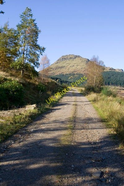 Photo 6"x4" Lettermay forestry road Lochgoilhead c2008