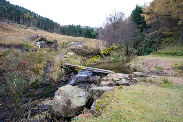 Photo 6"x4" Gleann Ban Gorge Lochgoilhead c2008