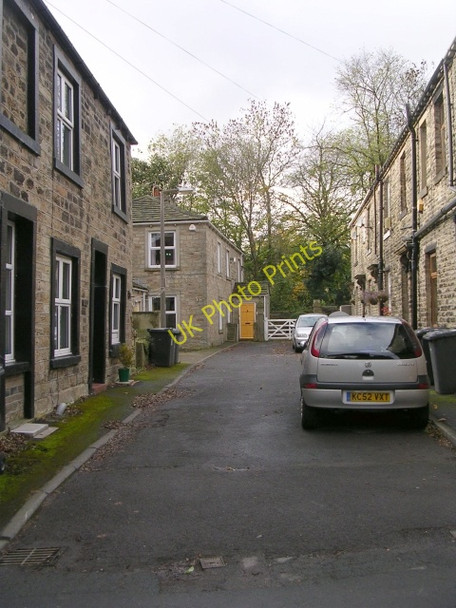 Photo 6"x4" Ash Grove - Old Lane Birkenshaw\/SE2028 c2008