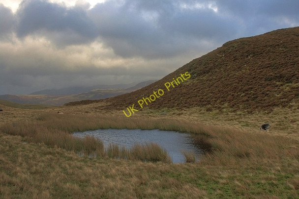 Photo 6"x4" Tarn on the Looking Crag Ridge Little Town\/NY2319 c2008