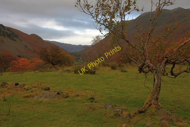 Photo 6"x4" Remains of Enclosure, Deepdale Park Bridgend\/NY3914 c2008