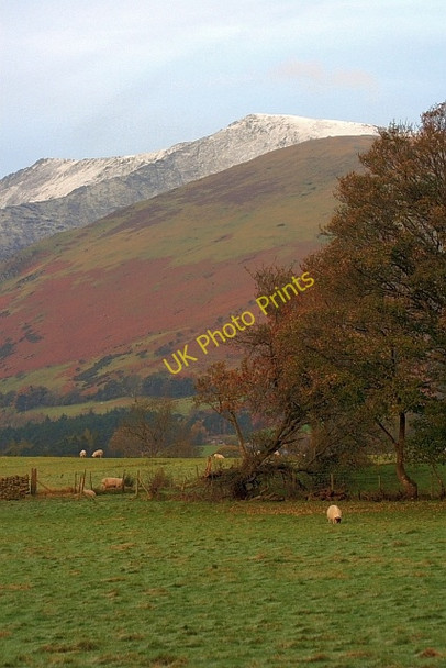 Photo 6"x4" Pasture Near Hutton Moor End Scales\/NY3426 c2008