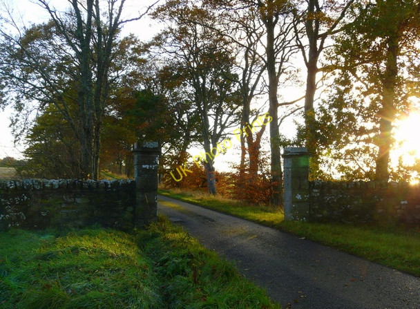 Photo 6"x4" Side road to Pitcalzean Nigg\/NH8071 c2008