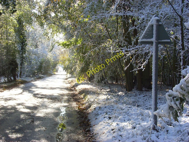Photo 6"x4" Road approaching Ibstone Ibstone c2008