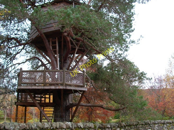 Photo 6"x4" Tree house at Glencalvie Lodge Amatnatua c2008
