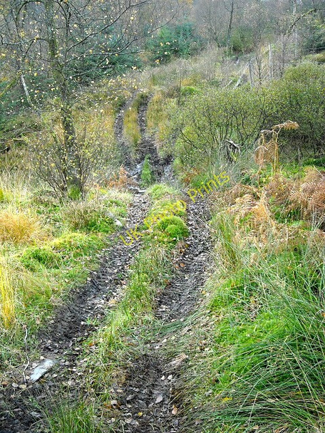 Photo 6"x4" Path in Loch Ard Forest Stronachlachar c2008
