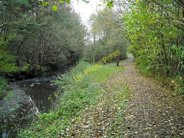 Photo 6"x4" Path Beside Kittoch Water East Kilbride\/NS6354 c2008