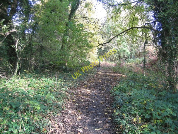 Photo 6"x4" Footpath at Moss Valley Country Park Wrexham\/Wrecsam c2008