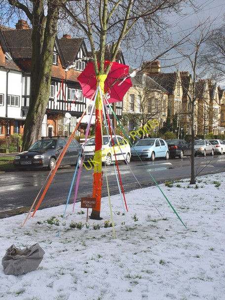 Photo 6"x4" February Pole, Westbourne Avenue, Hull Kingston upon Hull c2004