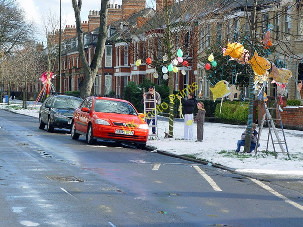 Photo 6"x4" Decorated Trees, Westbourne Avenue, Hull Kingston upon Hull c2004