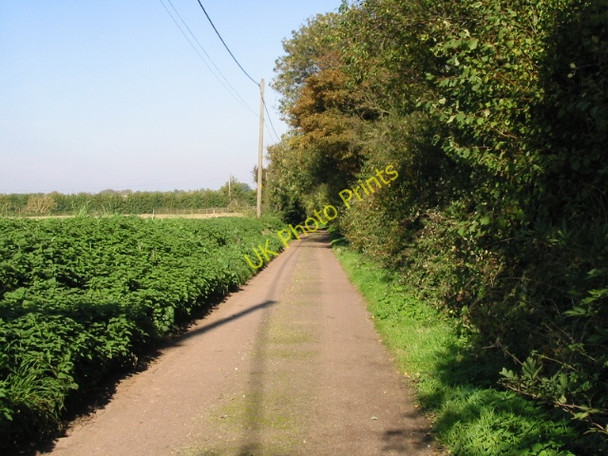 Photo 6"x4" View along the road from Twitham Oast houses Twitham c2008