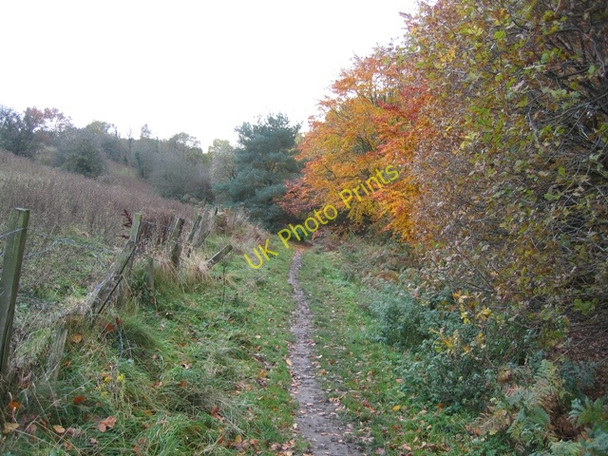Photo 6"x4" Footpath at Moss Valley Country Park Wrexham\/Wrecsam c2008