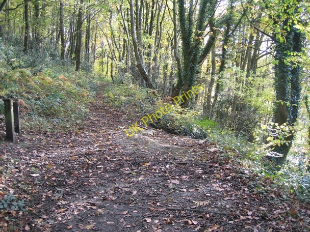 Photo 6"x4" Fork in the path at Moss Valley Country Park Wrexham\/Wrecsam c2008