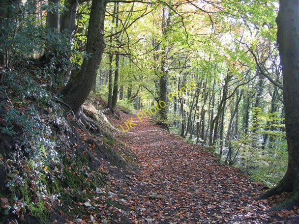 Photo 6"x4" Upper footpath at Moss Valley Country Park Wrexham\/Wrecsam c2008