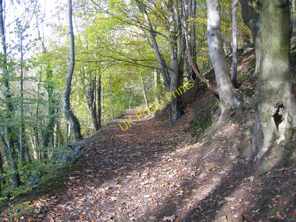 Photo 6"x4" Upper footpath at Moss Valley Country Park Wrexham\/Wrecsam c2008 P1