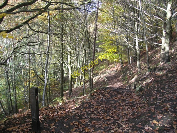Photo 6"x4" Steps down at the Moss Valley Country Park Wrexham\/Wrecsam c2008