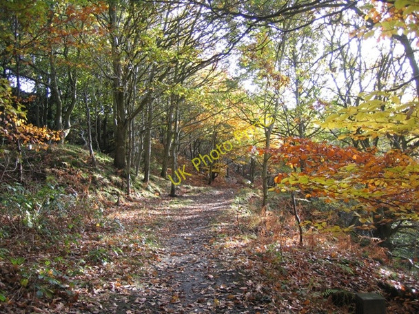 Photo 6"x4" View along the upper footpath at Moss Valley Country Park Wrexham\/Wrecsam c2008