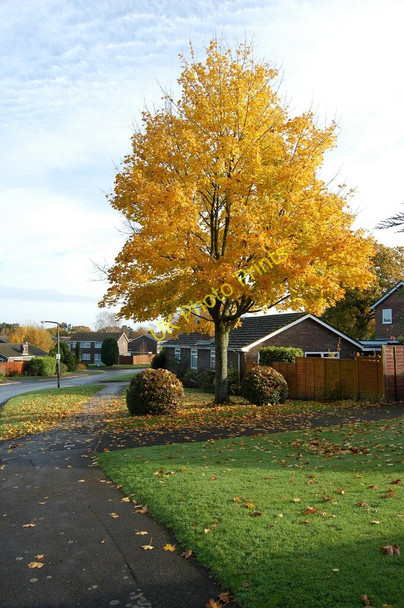 Photo 6"x4" Earlswood Drive, Alderholt, Dorset Alderholt c2008