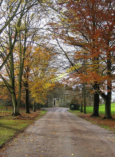 Photo 6"x4" Driveway to Clearwell Castle Clements End c2008