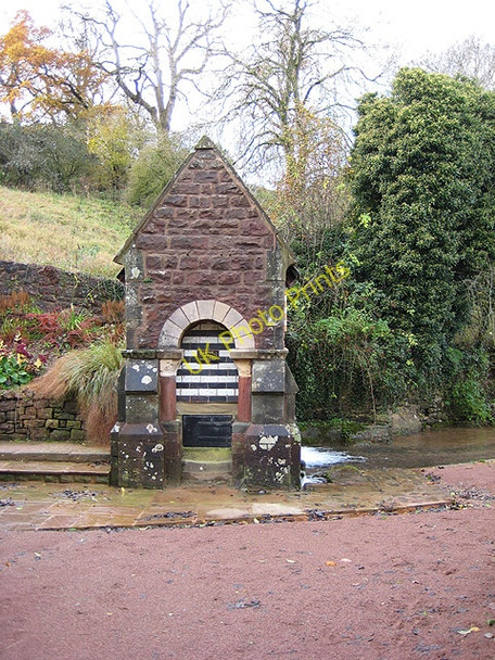 Photo 6"x4" Spring at Clearwell Clements End c2008