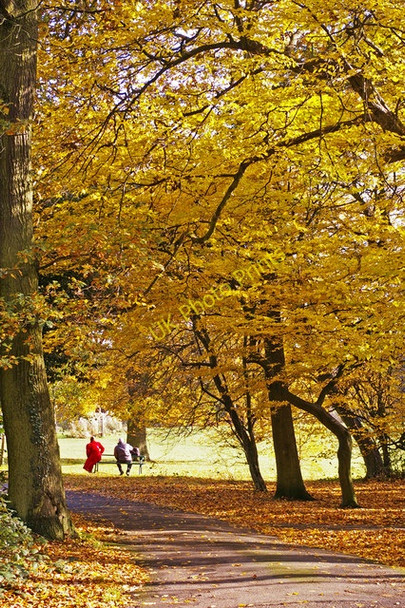 Photo 6"x4" Oakwood Park, London N14 Southgate\/TQ3094 c2008