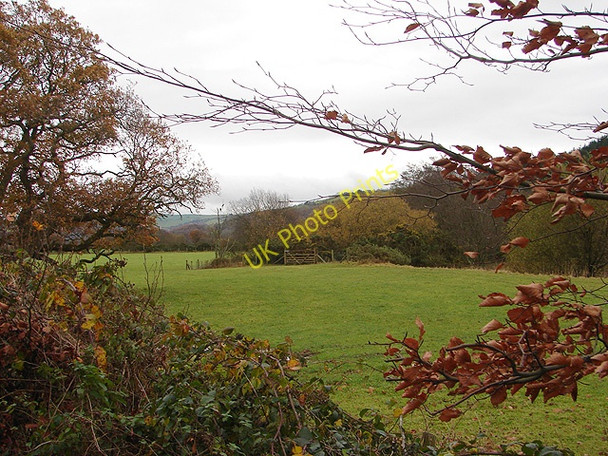 Photo 6"x4" Dyffryn Rheidol Capel Dewi\/SN6282 c2008