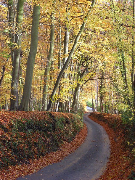 Photo 6"x4" Holloway Lane, Turville Turville Heath c2008