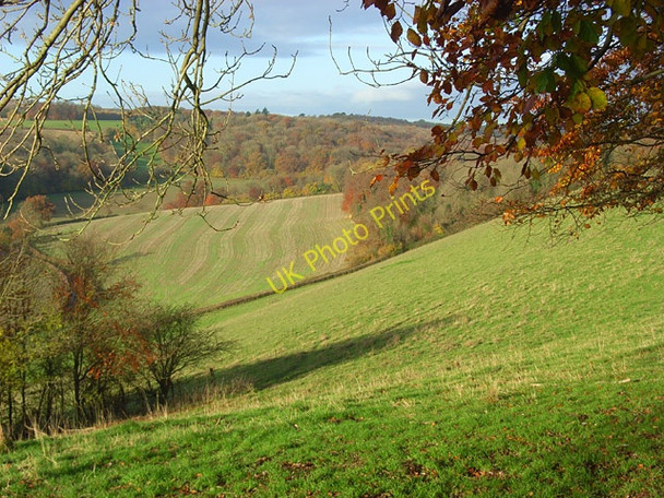 Photo 6"x4" Bix Bottom Maidensgrove c2008