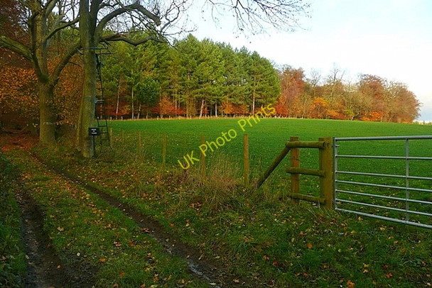 Photo 6"x4" Track at Offal Wood Bix c2008