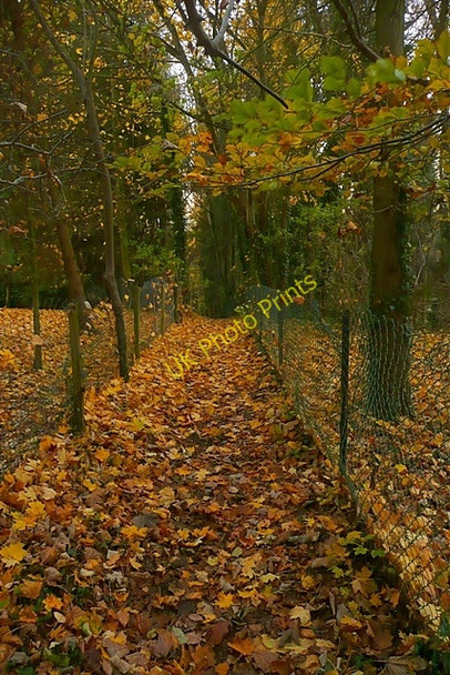 Photo 6"x4" Footpath to Sonning Common Rotherfield Peppard c2008