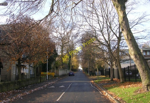 Photo 6"x4" Oak Avenue - North Avenue Bradford\/SE1632 c2008