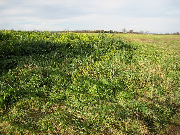 Photo 6"x4" Farmland near Gwynne's Hill Fishpool\/SO6629 c2008