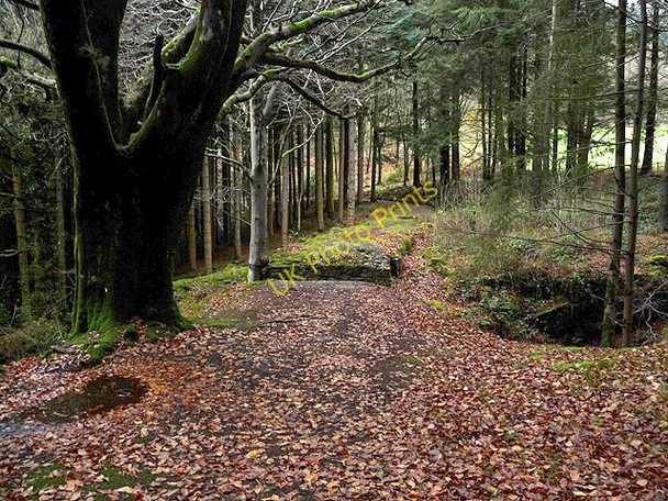 Photo 6"x4" Site of old bridge over the Nant Peiran Cwmystwyth c2008