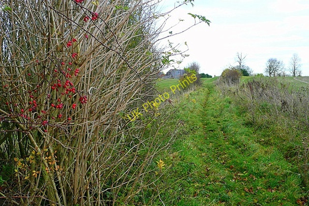 Photo 6"x4" Bridleway to Hornhill Sanham Green c2008