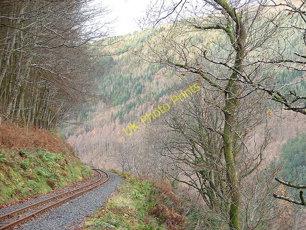 Photo 6"x4" The Vale of Rheidol Aberffrwd\/SN6878 c2008