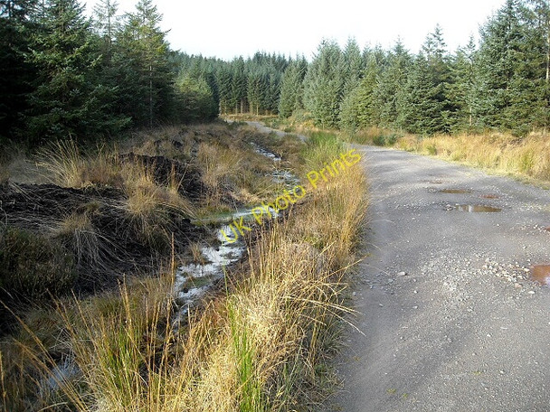 Photo 6"x4" Track in Loch Ard Forest D\u00f9n Dhamh c2008