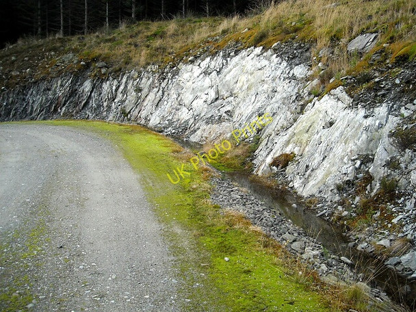 Photo 6"x4" Track in Loch Ard Forest Bruach Caorainn c2008
