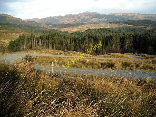 Photo 6"x4" Track in Loch Ard Forest Bruach Caorainn c2008