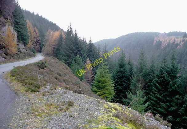 Photo 6"x4" Tywi valley side by Llyn Brianne, Powys Tywi Forest c2008