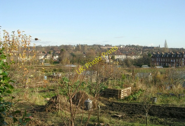 Photo 6"x4" Allotments - St Michael's Road Burley\/SE2734 c2008