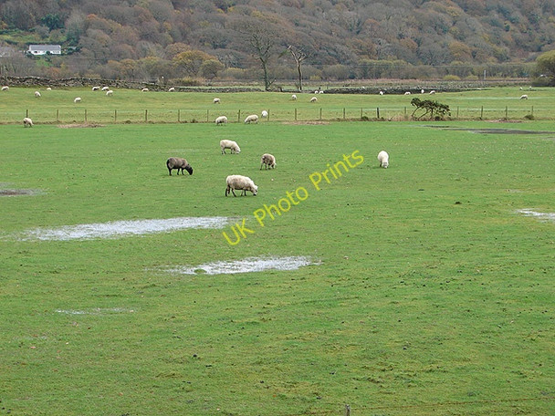 Photo 6"x4" Waterlogged pasture at Draenogan Glan-y-wern\/SH6034 c2008