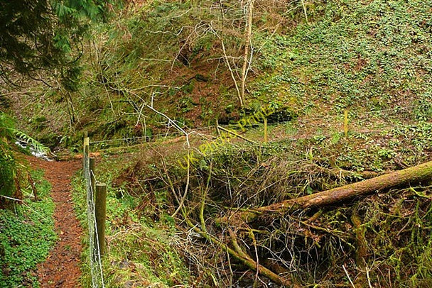 Photo 6"x4" Above the waterfall Llanfihangel-nant-Melan c2008