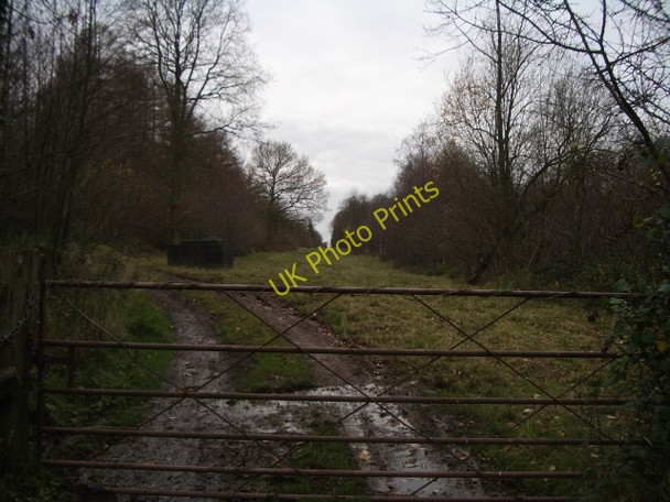 Photo 6"x4" Cutting through Hagley Wood Halesowen c2008